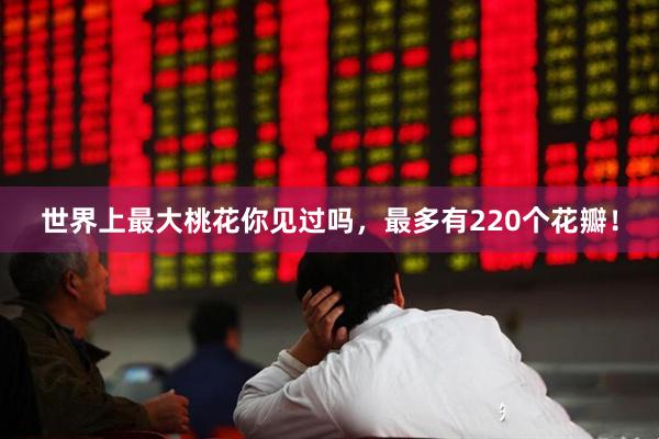 世界上最大桃花你见过吗，最多有220个花瓣！